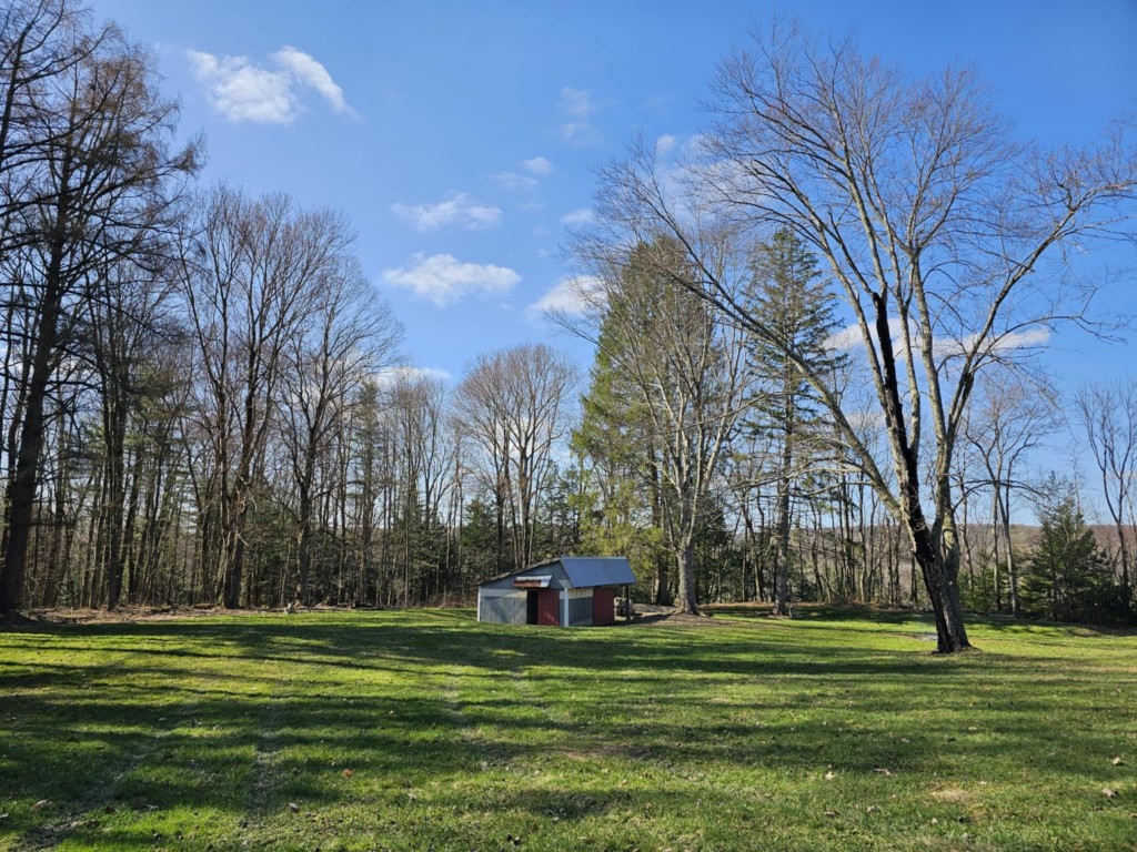 19431 Bockman Hollow Road, Saegertown, Pennsylvania image 16