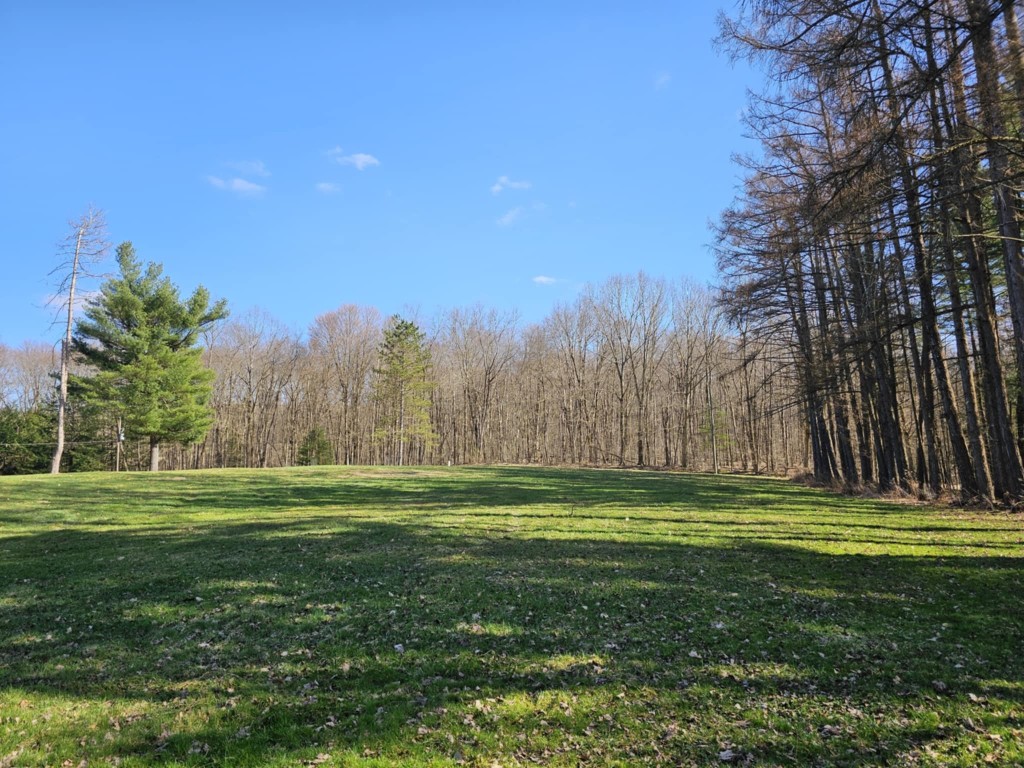 19431 Bockman Hollow Road, Saegertown, Pennsylvania image 17