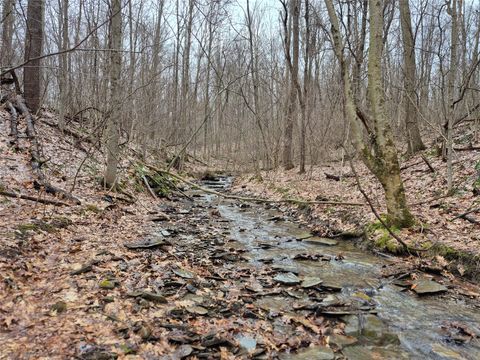Vacant Land For Sale - Maillard Road<br/> Crawford County, Guys Mills, PA 16327