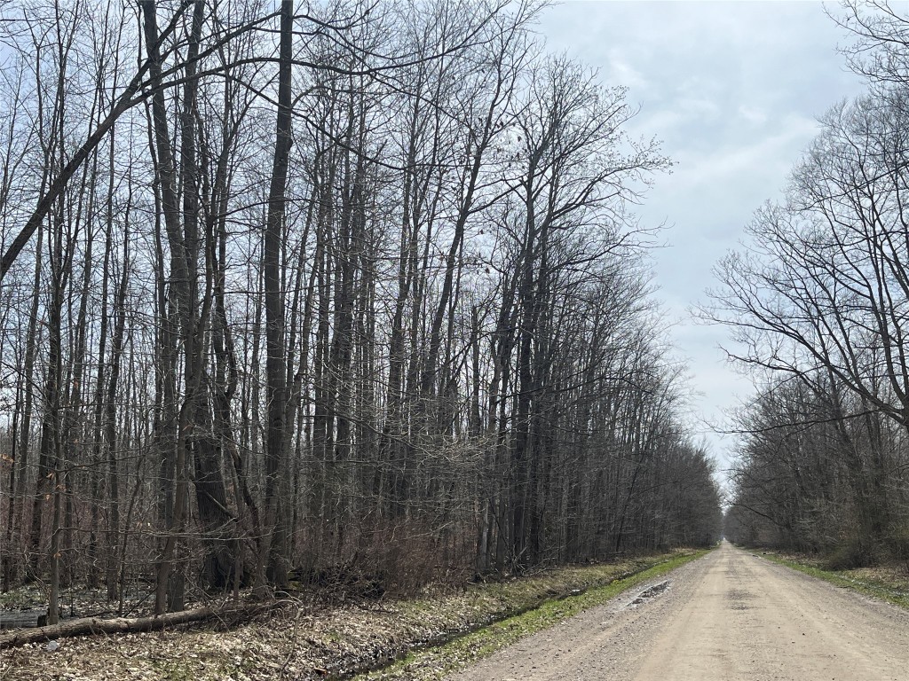 000 Stateline Road, Springboro, Pennsylvania image 1