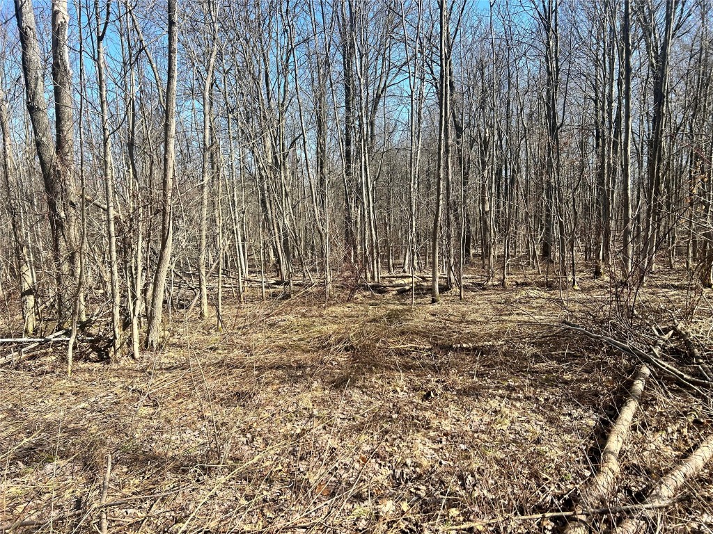 330 Robison Road, Erie, Pennsylvania image 23