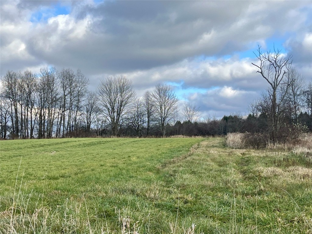 Route 98 Highway, Edinboro, Pennsylvania image 1