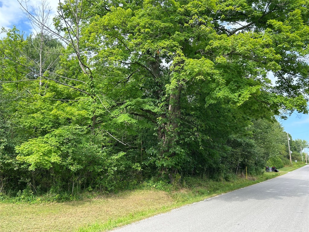 Leach Road, Espyville, Pennsylvania image 1