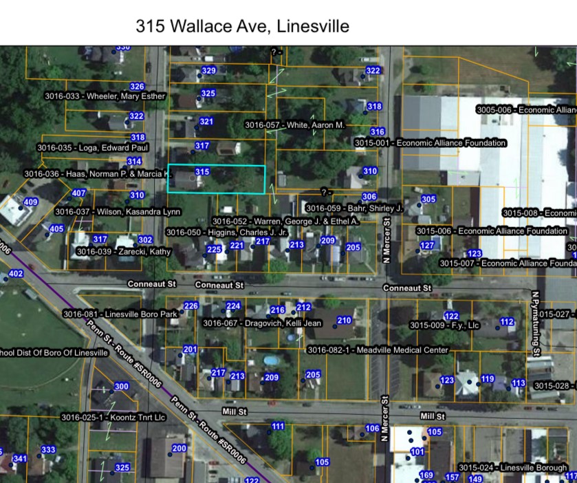 315 Wallace Avenue, Linesville, Pennsylvania image 37