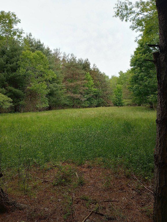 31782 State Hwy 77, Townville, Pennsylvania image 38