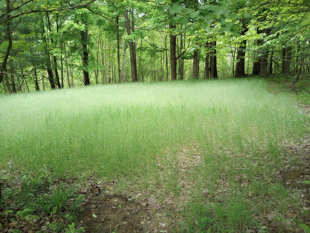 31782 State Hwy 77, Townville, Pennsylvania image 39