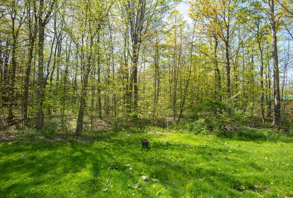 9170 Storey Road, North East, Pennsylvania image 7