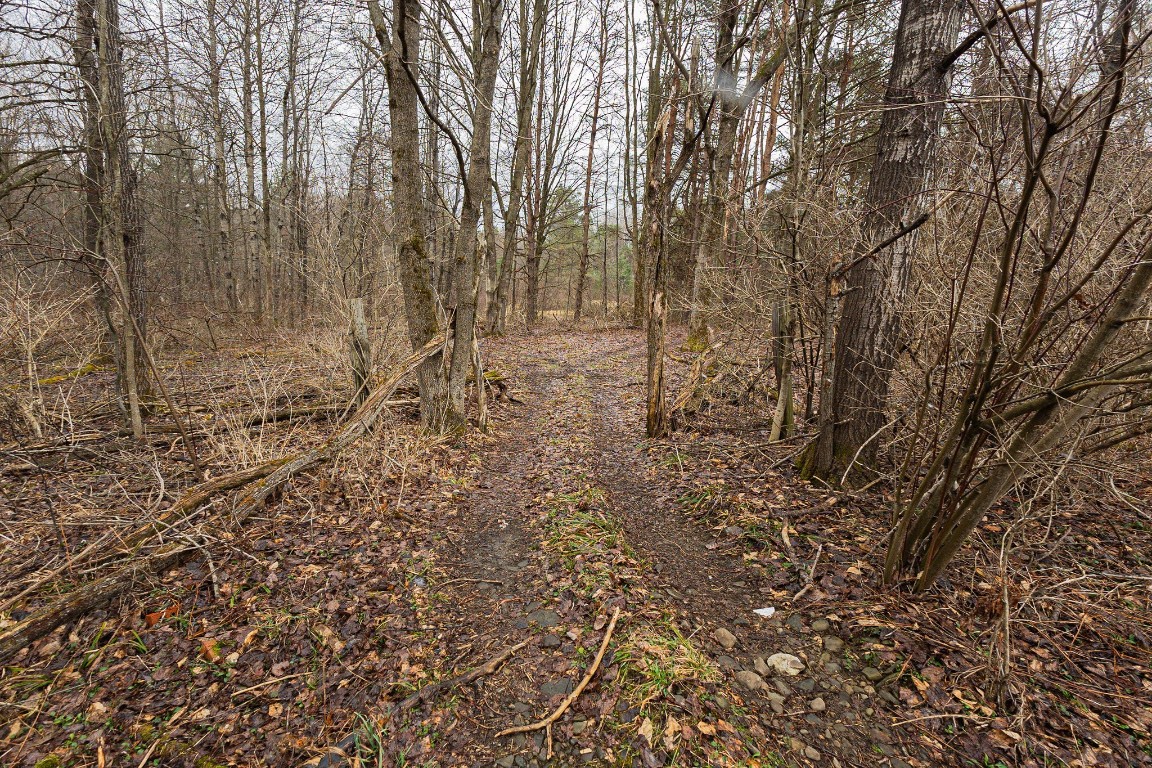 13040 Lovell Road, Corry, Pennsylvania image 44