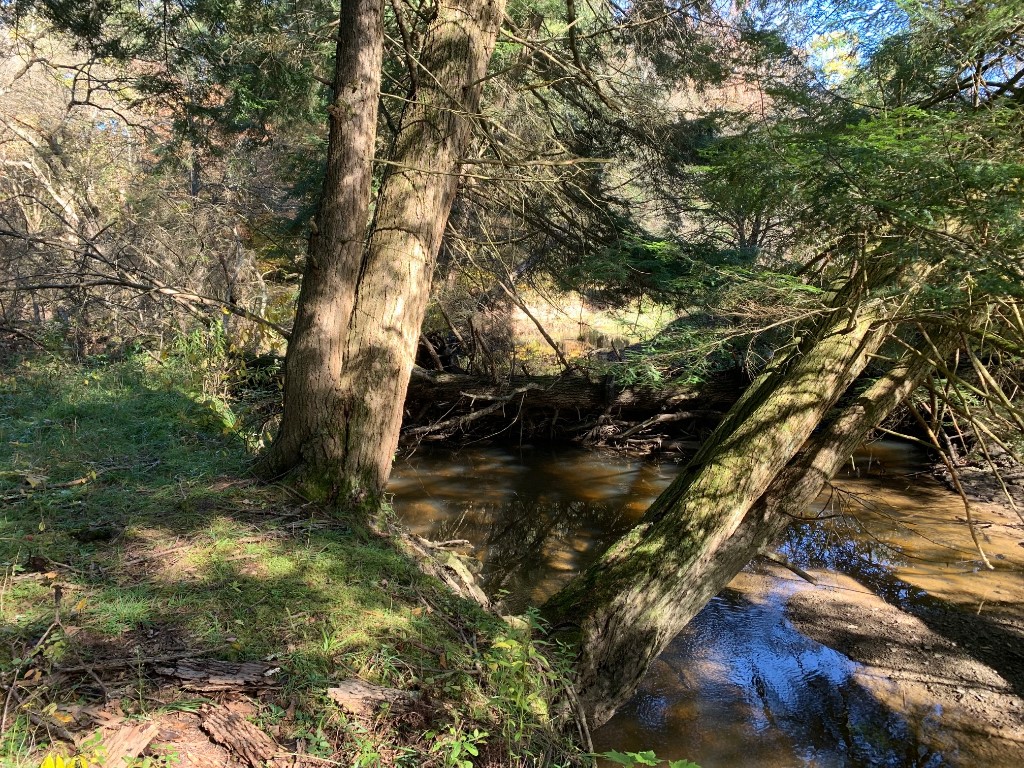 Pine Valley Road, Columbus, Pennsylvania image 4