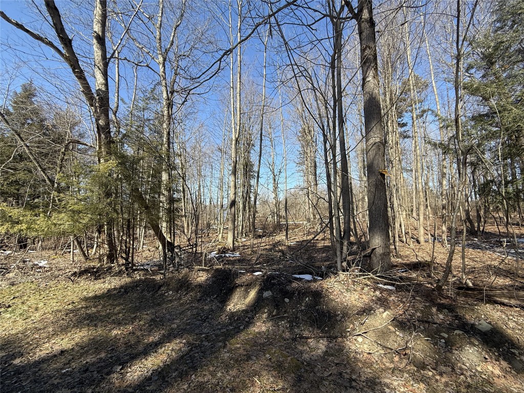 Birch Drive, Linesville, Pennsylvania image 1