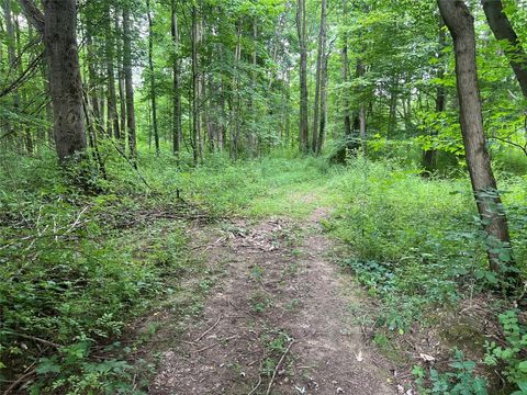 Vacant Land For Sale - 3+ /- ACRES ON Phelps Road<br/> Crawford County, Linesville, PA 16424