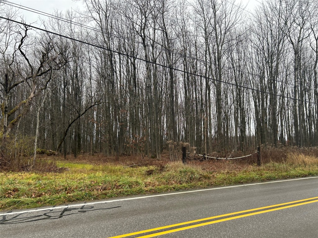 198 Highway, Conneautville, Pennsylvania image 1