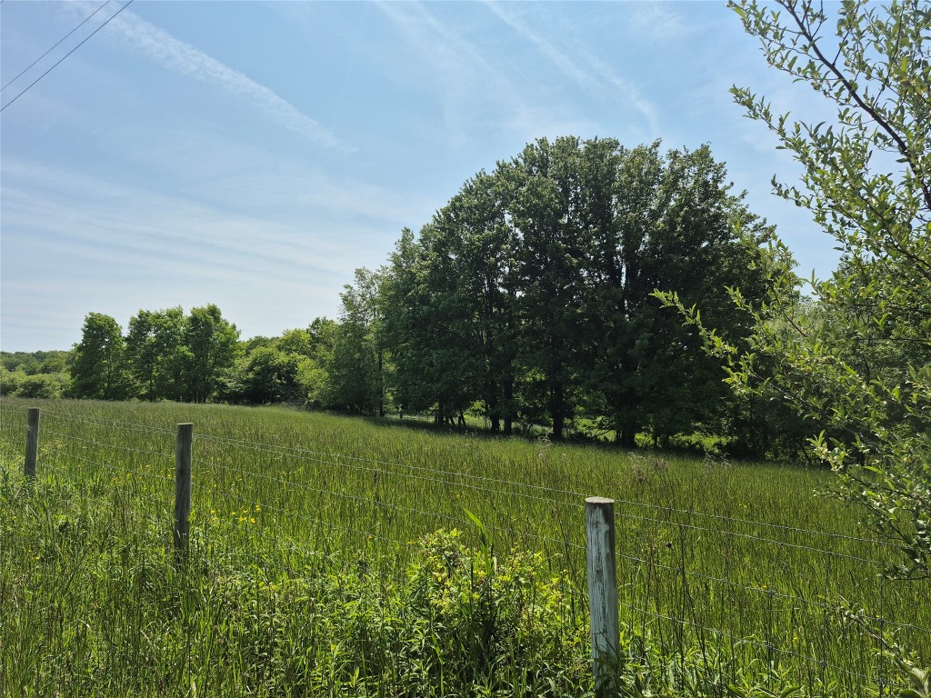 Lot2 West Road, Albion, Pennsylvania image 2