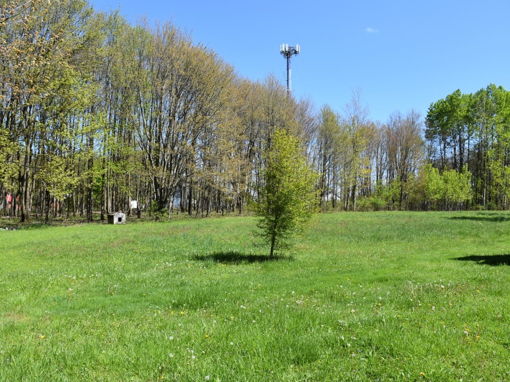 840 Lura Road, Cambridge Springs, Pennsylvania image 8