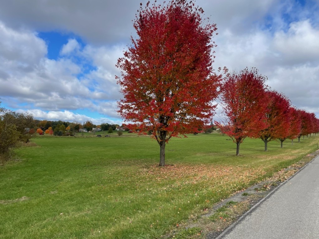 Jackson Station Road, Waterford, Pennsylvania image 5