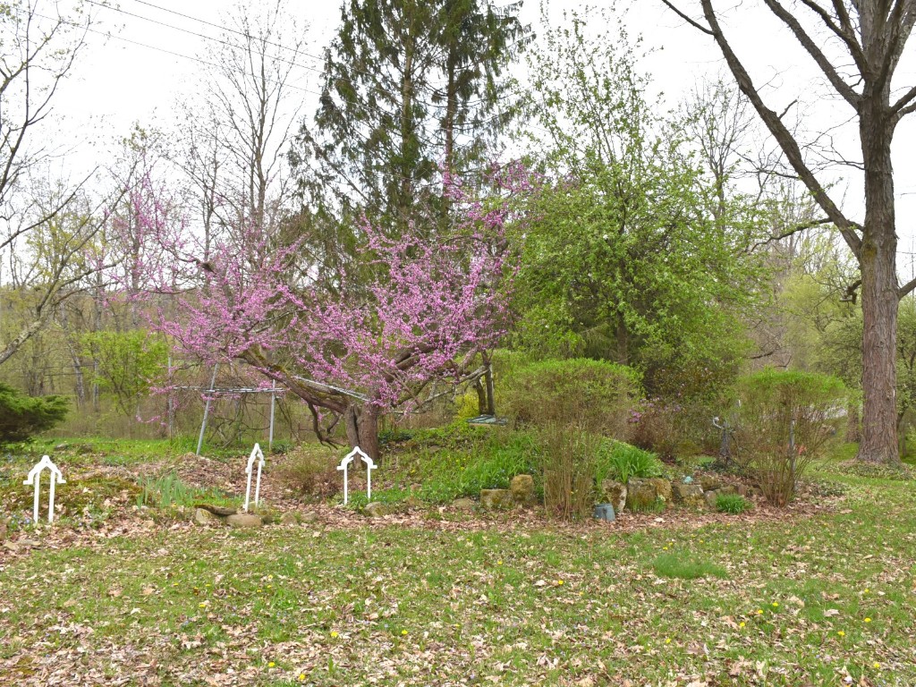 12322 N Watson Run Road, Conneaut Lake, Pennsylvania image 27