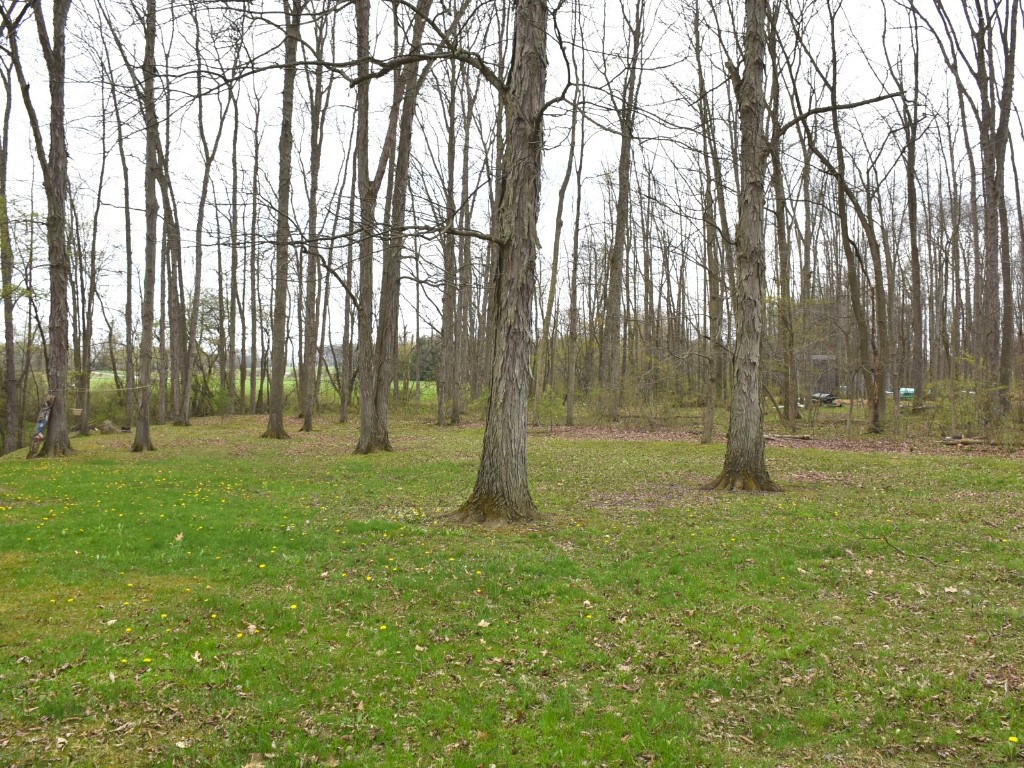 12322 N Watson Run Road, Conneaut Lake, Pennsylvania image 29