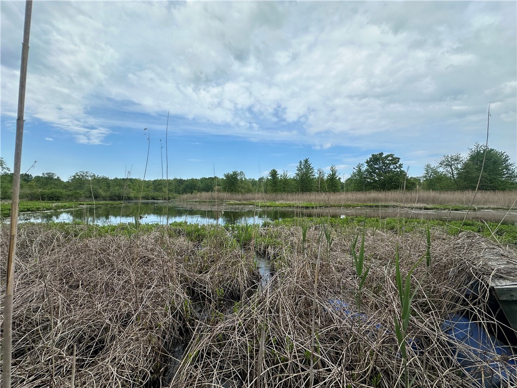 Griffey Road, Albion, Pennsylvania image 18