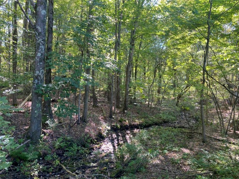Vacant Land For Sale - Carlyn Drive<br/> Saegertown, PA 16433