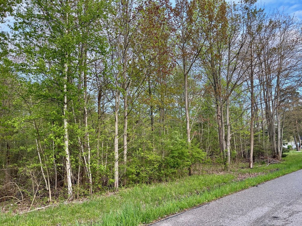 Sirak Drive, Fairview, Pennsylvania image 3