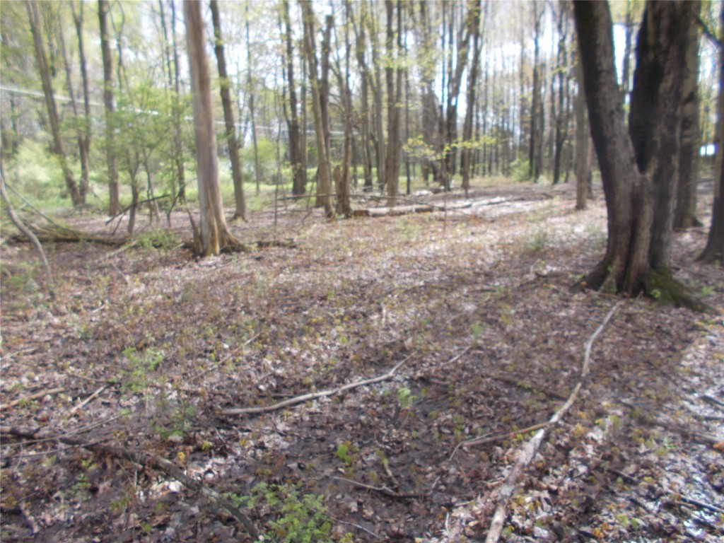 Maplewood Drive, Espyville, Pennsylvania image 6