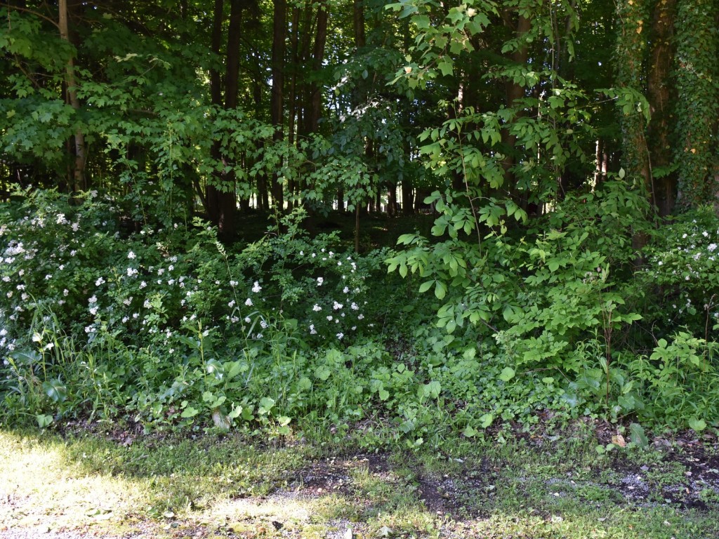 Lot 228 Edgewood Drive, Linesville, Pennsylvania image 7