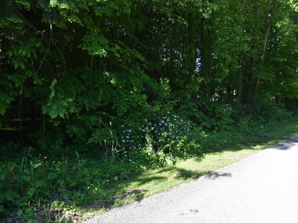 Lot 228 Edgewood Drive, Linesville, Pennsylvania image 8