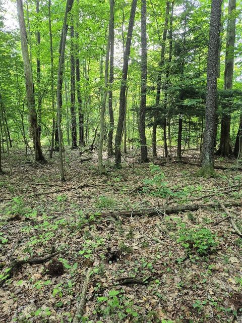 Vacant Land For Sale - LOT 3 Biscoff Road<br/> Albion, PA 16401