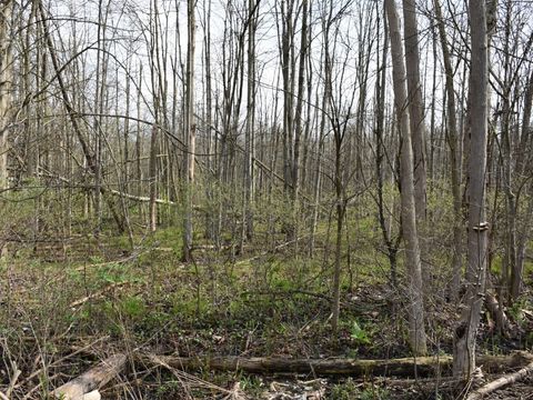 Vacant Land For Sale - 3214-024 Blooming Valley Road<br/> Crawford County, Meadville, PA 16335