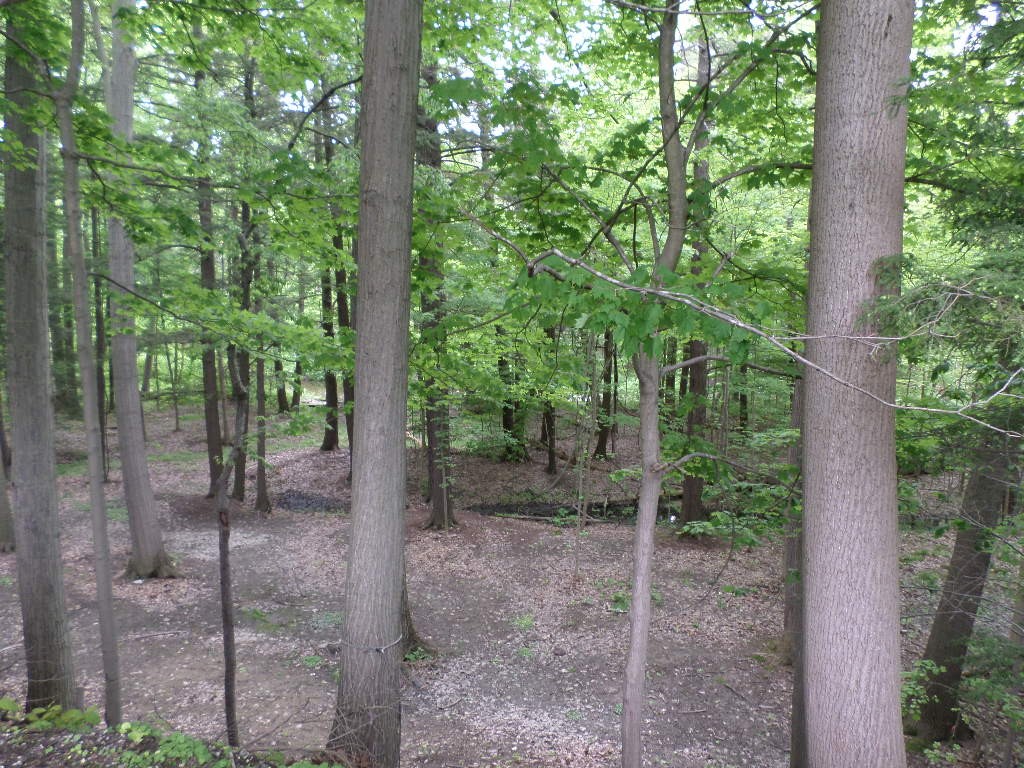 2315 Zimmerly Road, Erie, Pennsylvania image 31