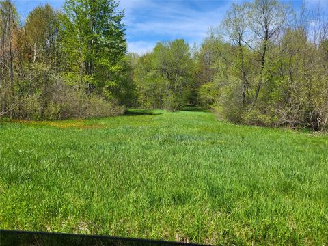 Vacant Land For Sale - Dougan Rd/station Rd Road<br/> Erie County, North East, PA 16428