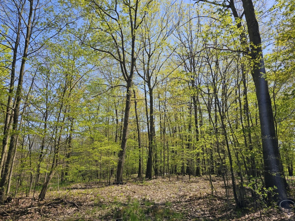 22668 Reeds Corner Road, Conneautville, Pennsylvania image 5