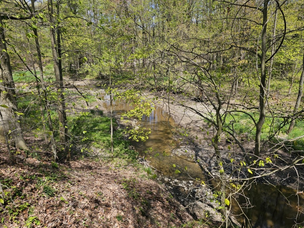 22668 Reeds Corner Road, Conneautville, Pennsylvania image 4