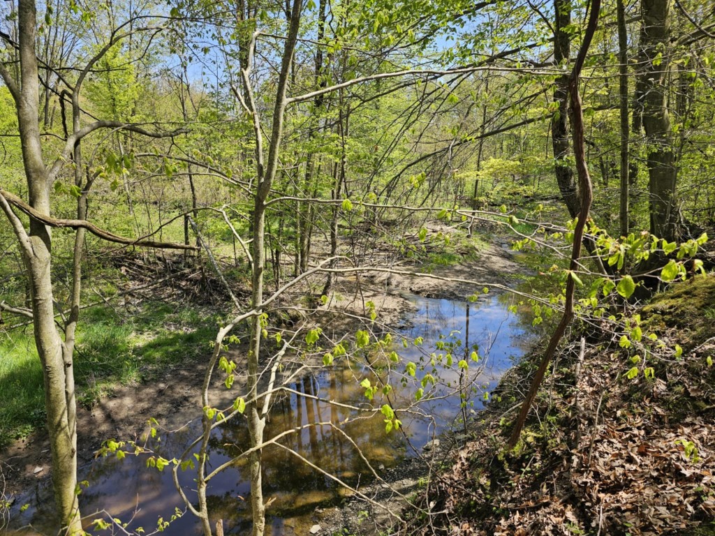 22668 Reeds Corner Road, Conneautville, Pennsylvania image 6