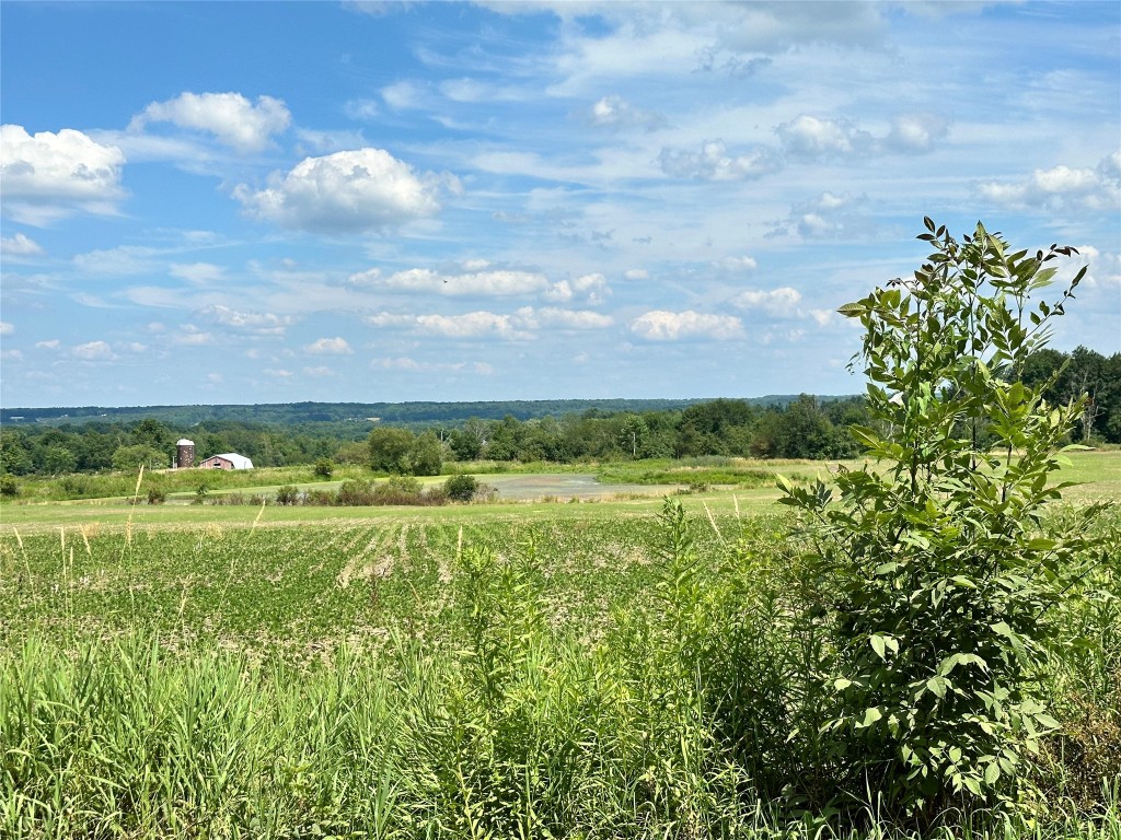 6669 Fisher Unit A Road, Conneautville, Pennsylvania image 3