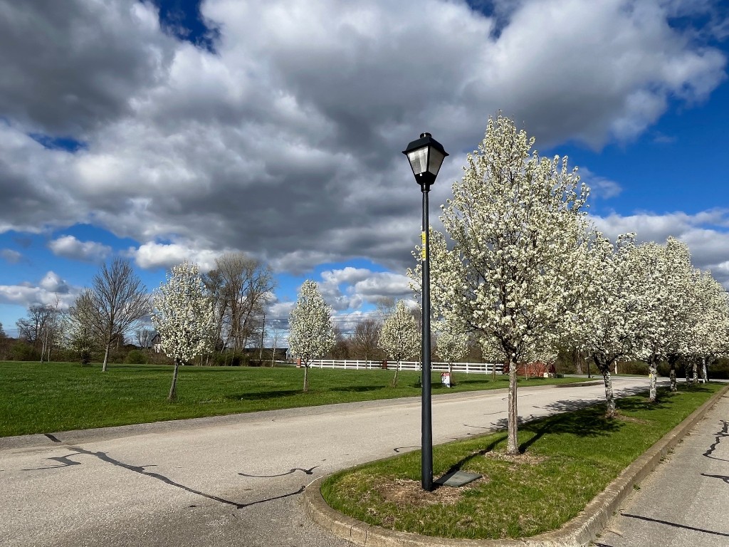 Shenango Drive, Edinboro, Pennsylvania image 6