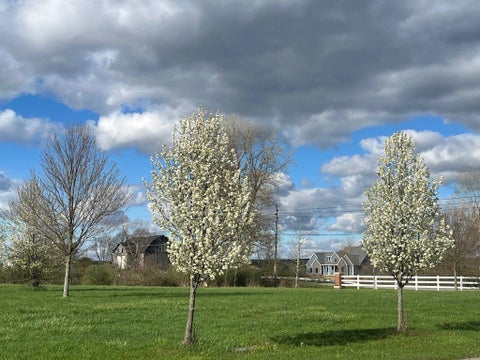Vacant Land For Sale - Shenango Drive<br/> Erie County, Edinboro, PA 16412