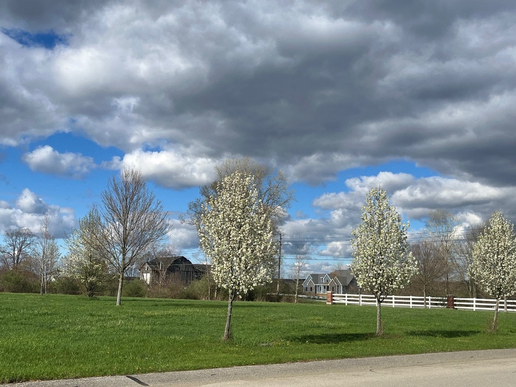 Shenango Drive, Edinboro, Pennsylvania image 7