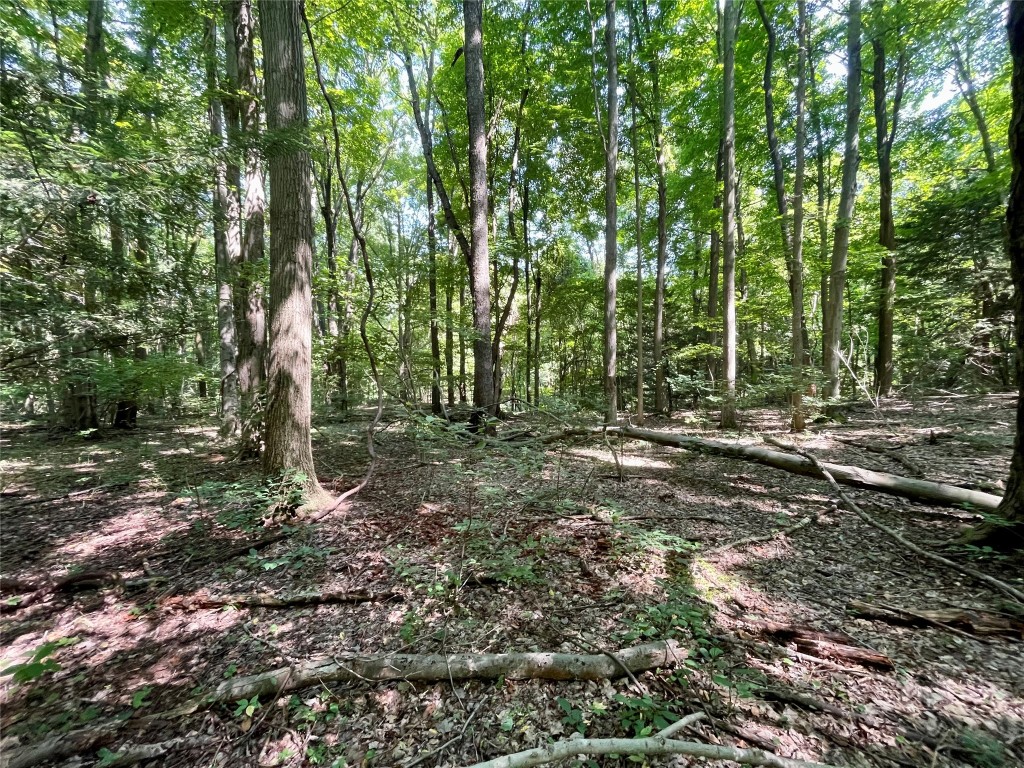 Girard, Pennsylvania 16417, United States, ,Land,Active,197800