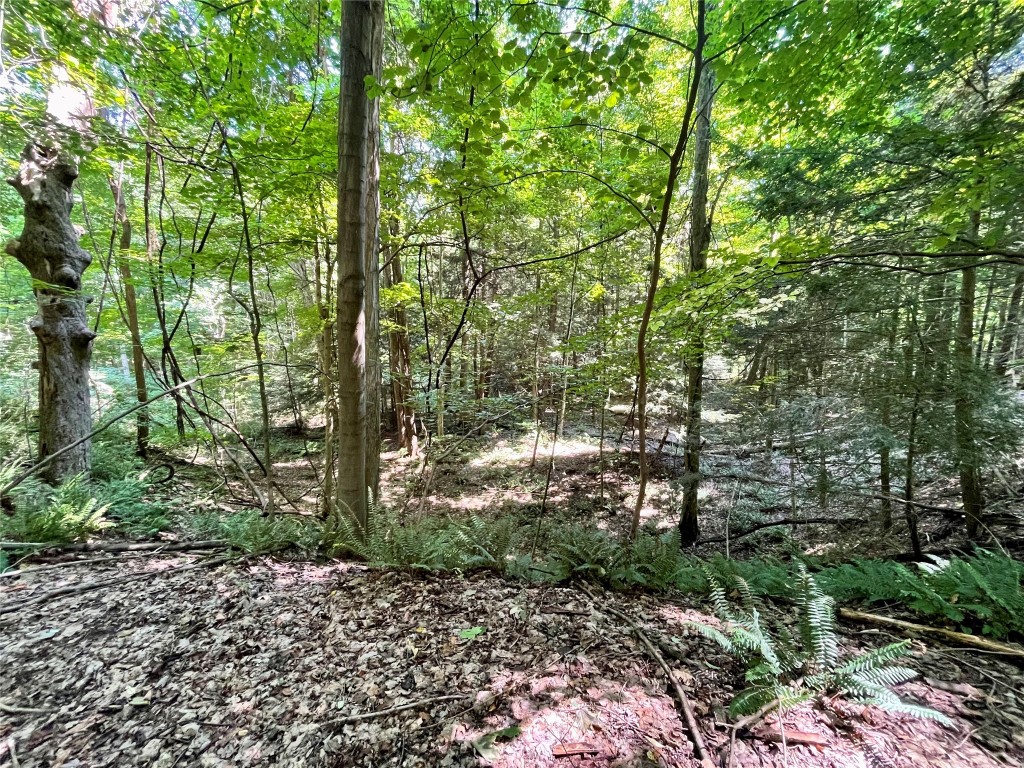 Girard, Pennsylvania 16417, United States, ,Land,Active,197800