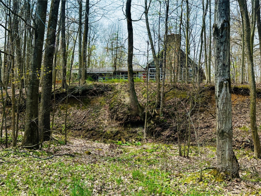 11659 Townline Road, Meadville, Pennsylvania image 1