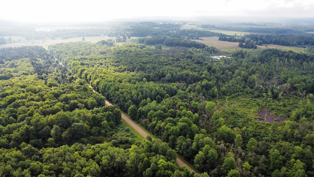 Lake & Laird Road, Atlantic, Pennsylvania image 12