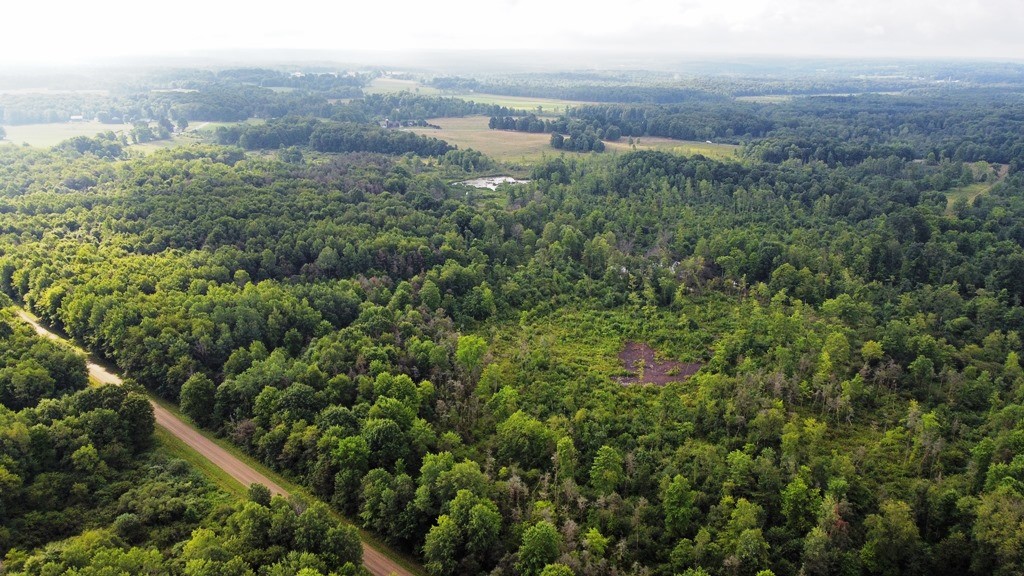 Lake & Laird Road, Atlantic, Pennsylvania image 11