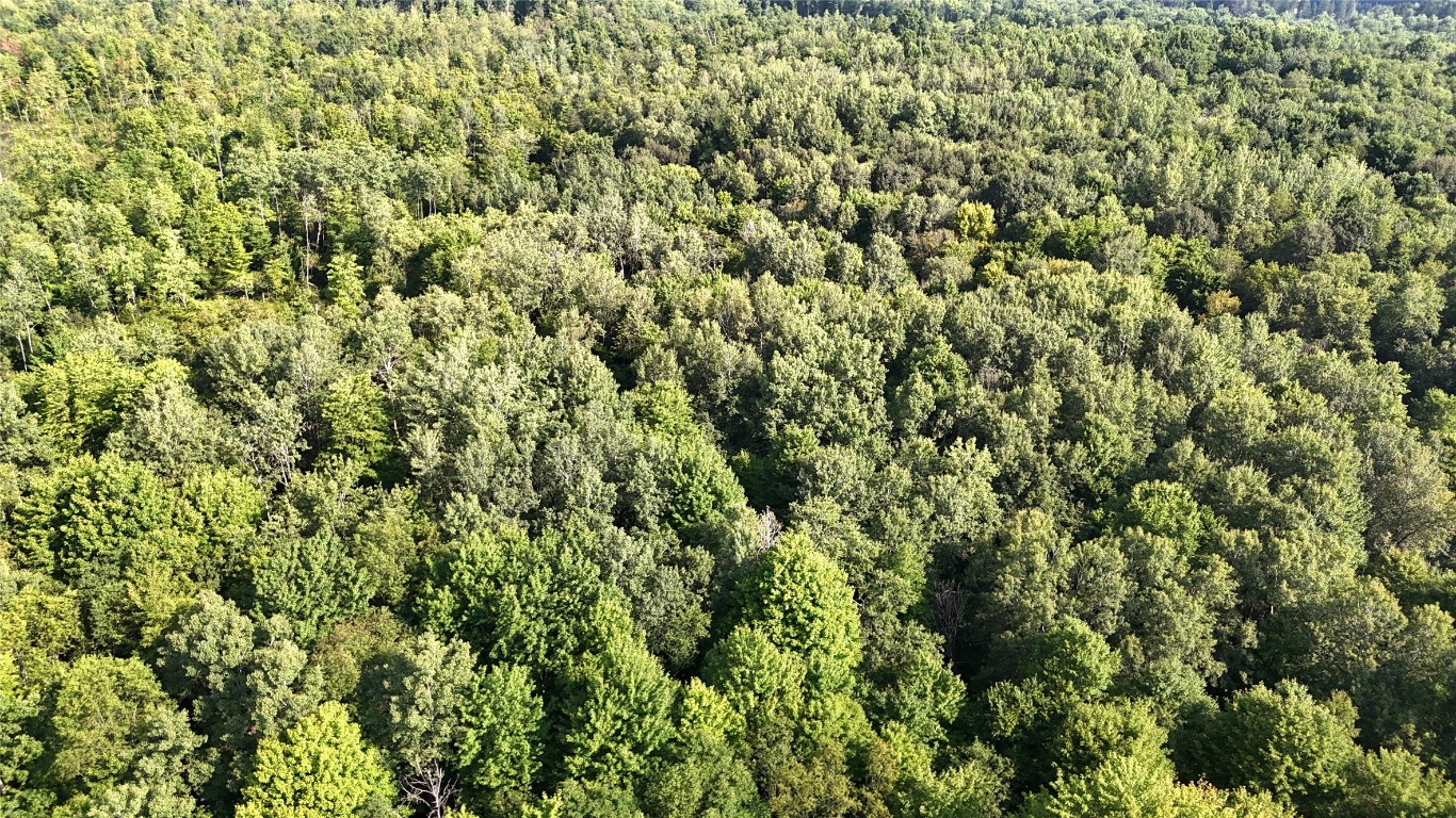 Lake & Laird Road, Atlantic, Pennsylvania image 22