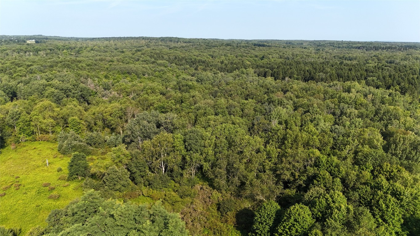 Lake & Laird Road, Atlantic, Pennsylvania image 19