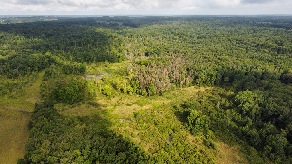 Lake & Laird Road, Atlantic, Pennsylvania image 5