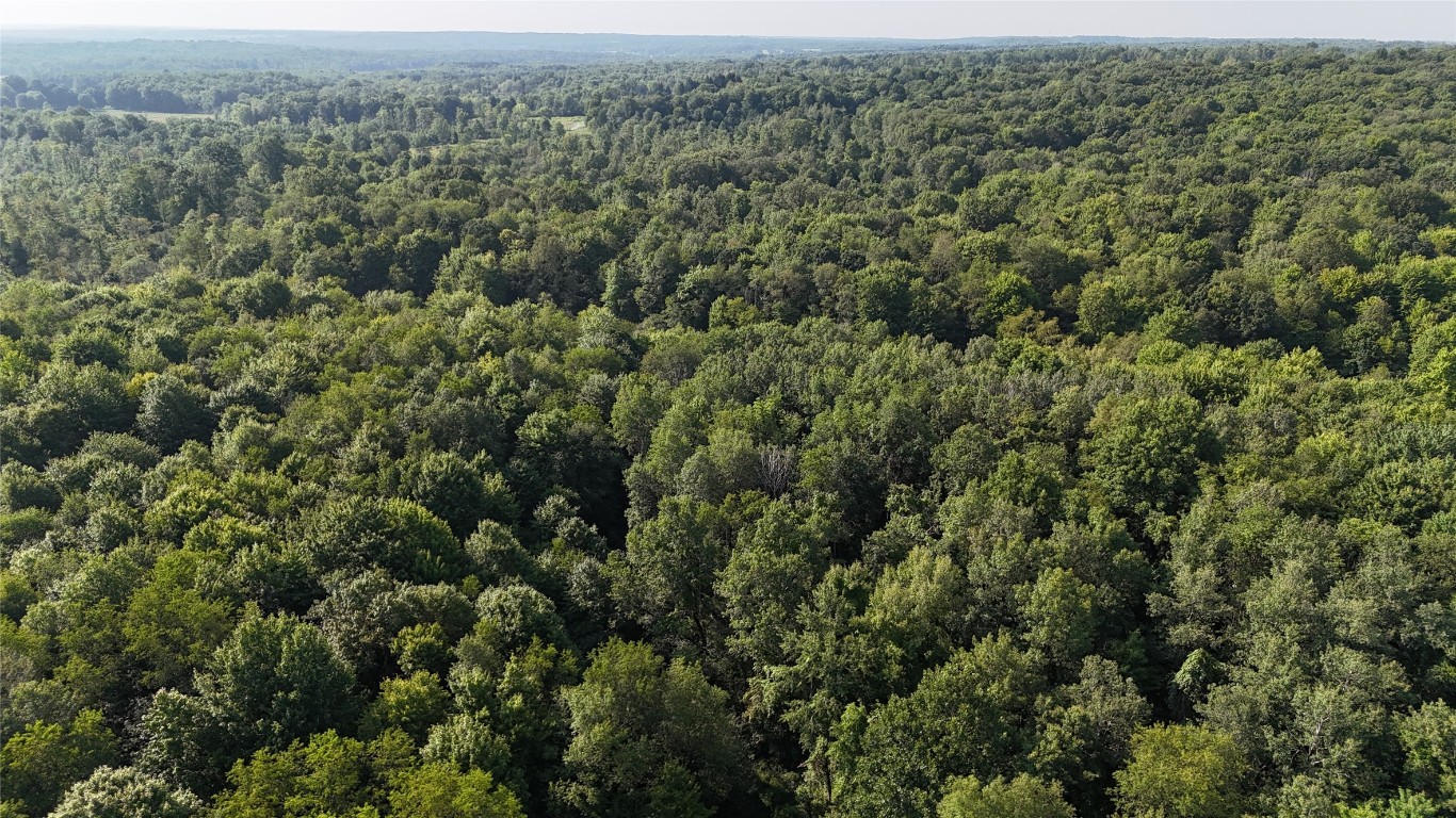 Lake & Laird Road, Atlantic, Pennsylvania image 31