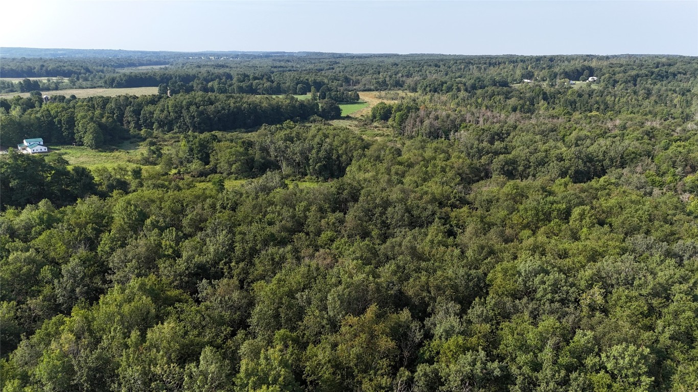 Lake & Laird Road, Atlantic, Pennsylvania image 15