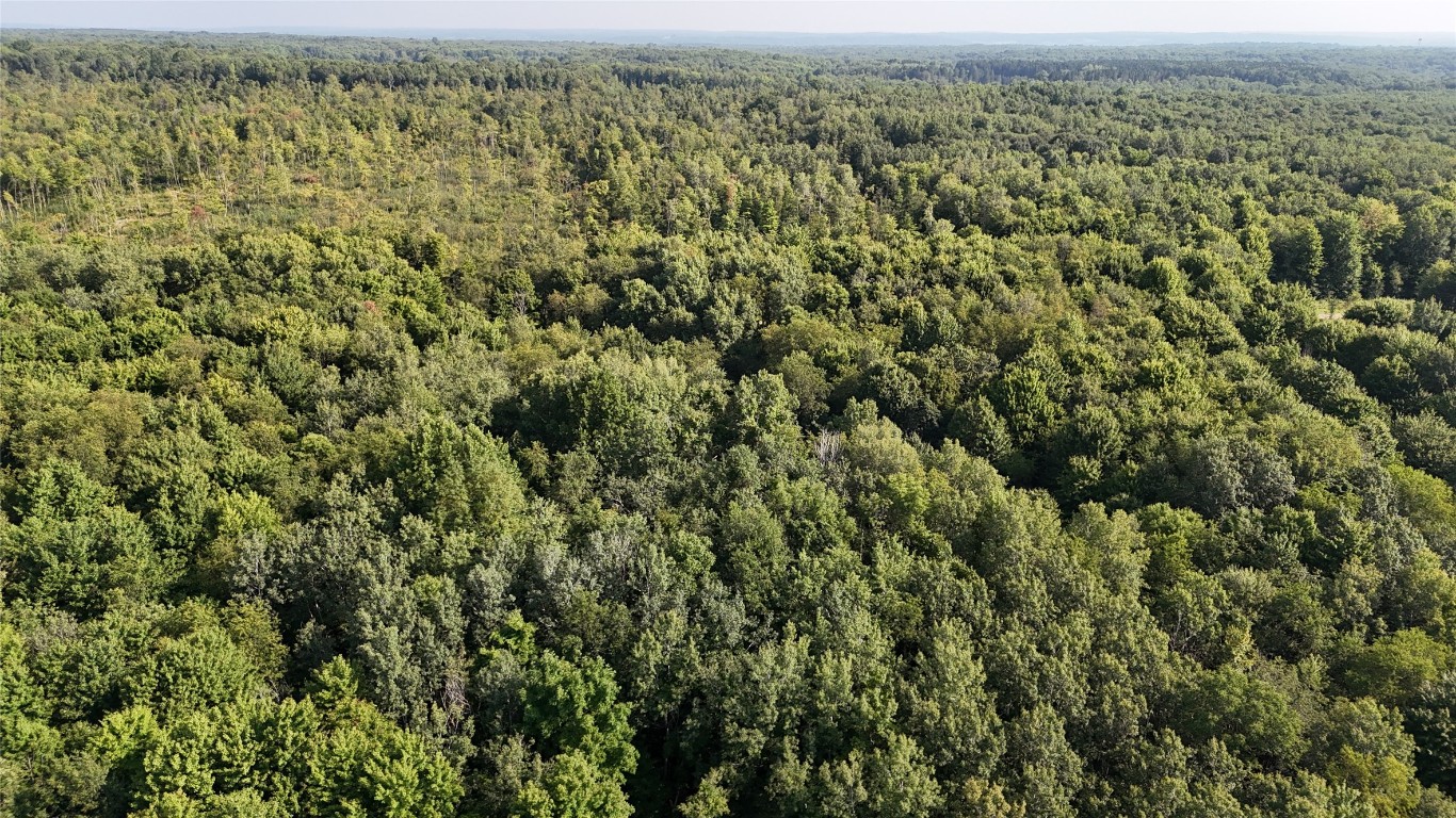 Lake & Laird Road, Atlantic, Pennsylvania image 38