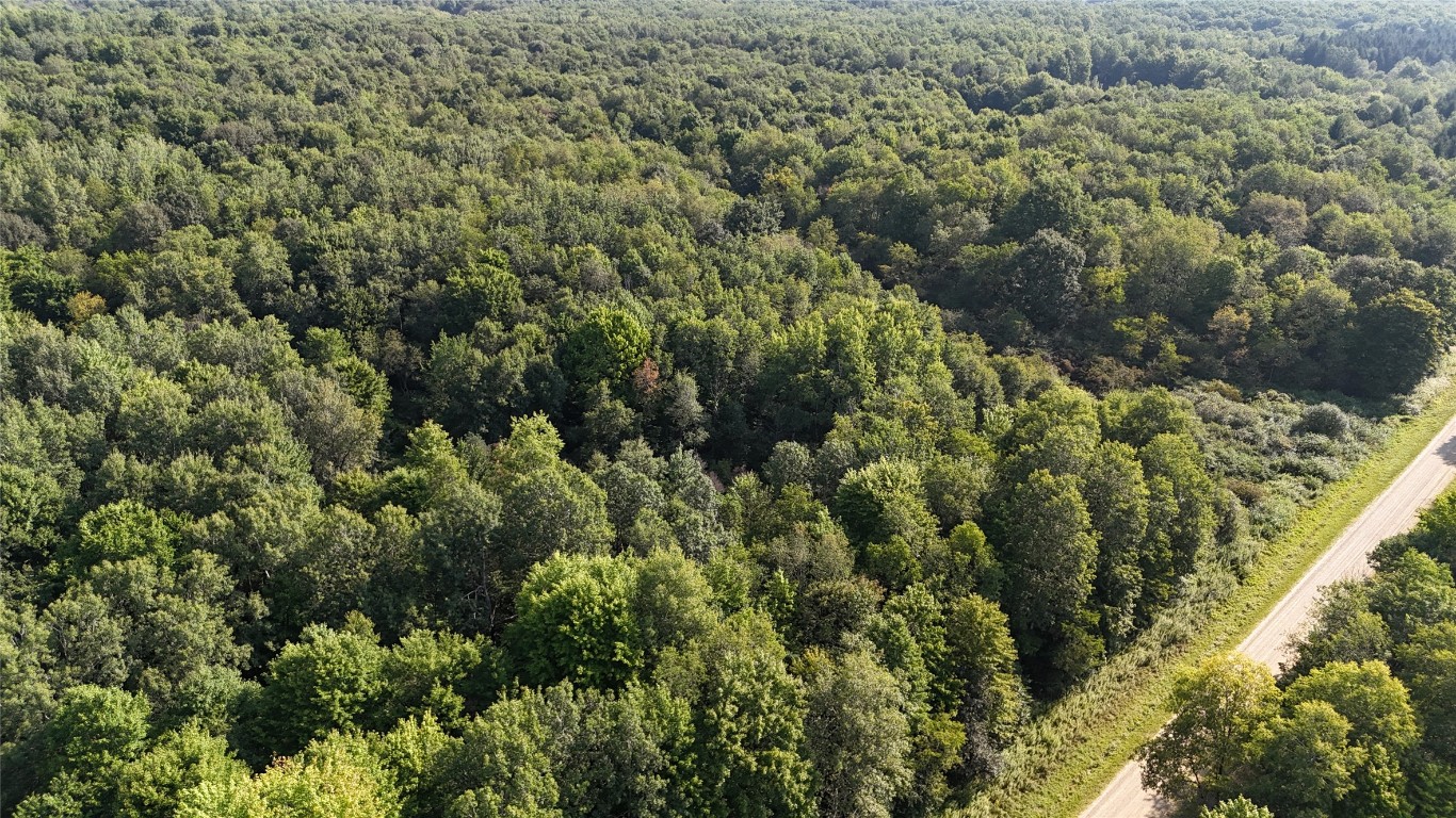Lake & Laird Road, Atlantic, Pennsylvania image 24